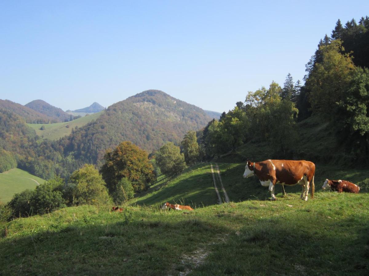 Bed and Breakfast Gast und Hof Spittel Langenbruck Exterior foto